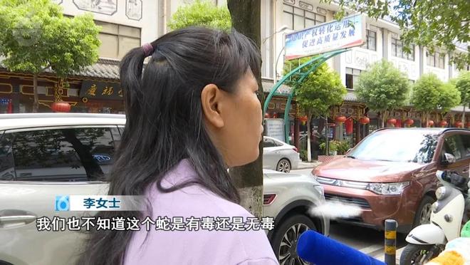 云南昆明一女子网购塑料凳拆开竟发现一条活蛇被胶带固定粘在椅子